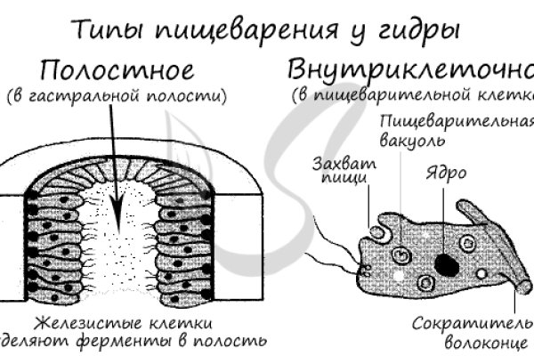 Кракен 17 af